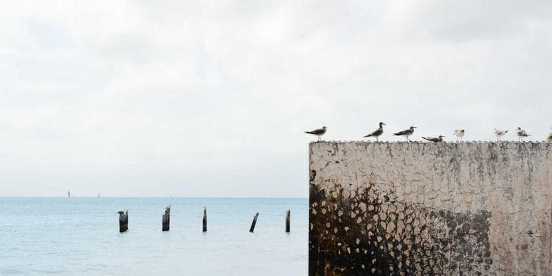 Salsa & Bachata Social Night