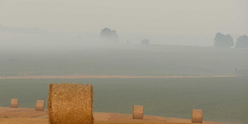 Warsztaty Tango Argentyńskiego